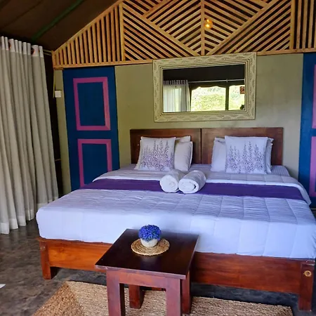 Ella Jungle Resort Room photo